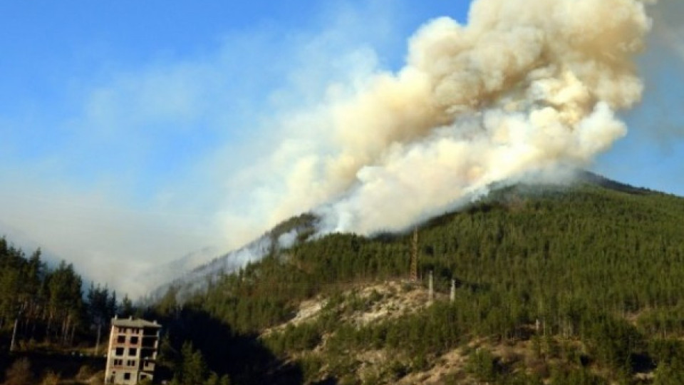 Гасенето на пожара в Смолян продължава | StandartNews.com