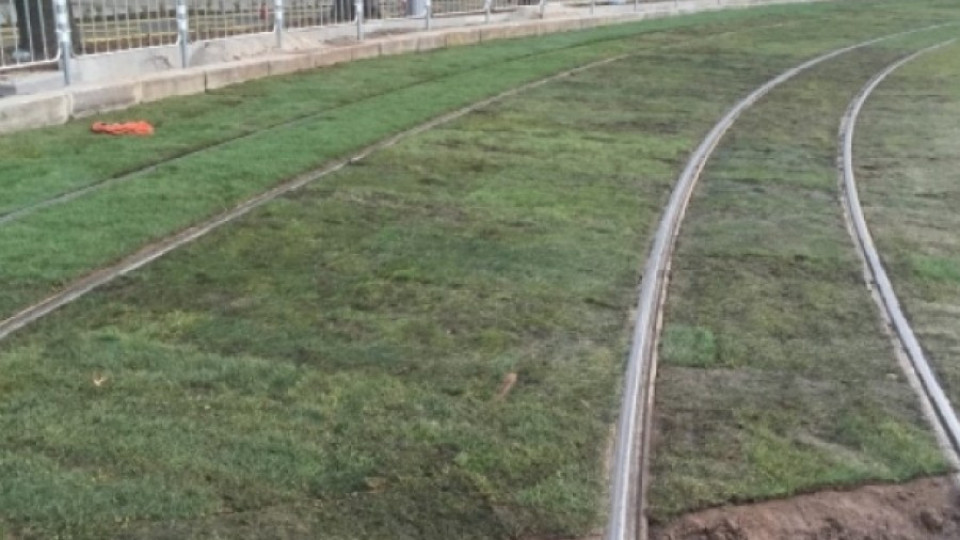 Софиянци газят единствените зелени почви в града (ВИДЕО) | StandartNews.com