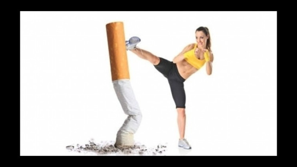 Мързелът е по-опасен от пушенето | StandartNews.com