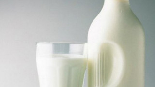 Пускат извънредните субсидии за млякото