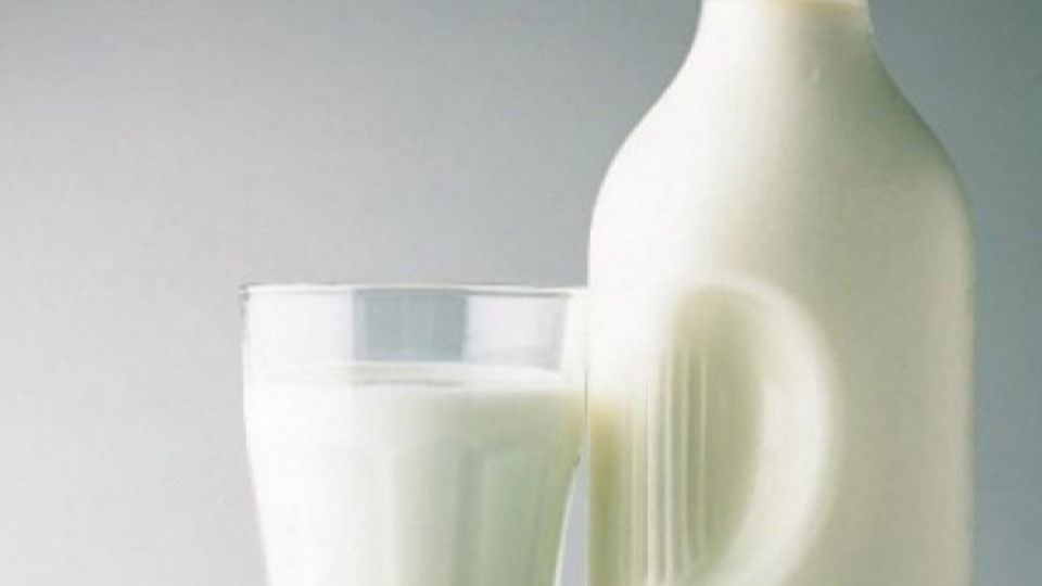 Пускат извънредните субсидии за млякото | StandartNews.com