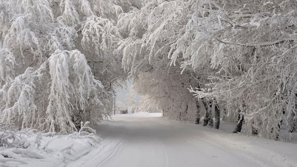 20 неща, заради които мразим зимата | StandartNews.com