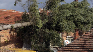 Бор падна върху къща, 500 без ток във Вършец
