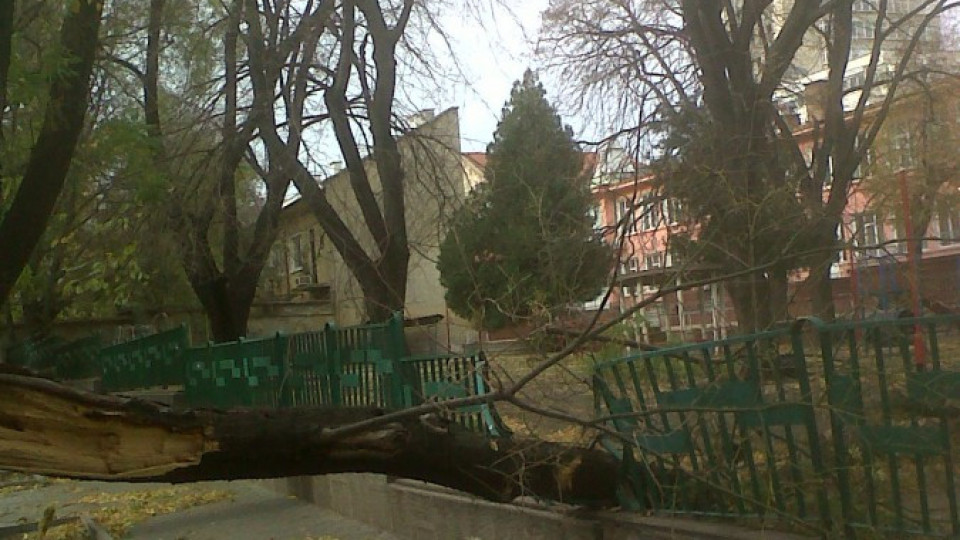 Бурен вятър спря въгледобива в „Марица-изток“ | StandartNews.com