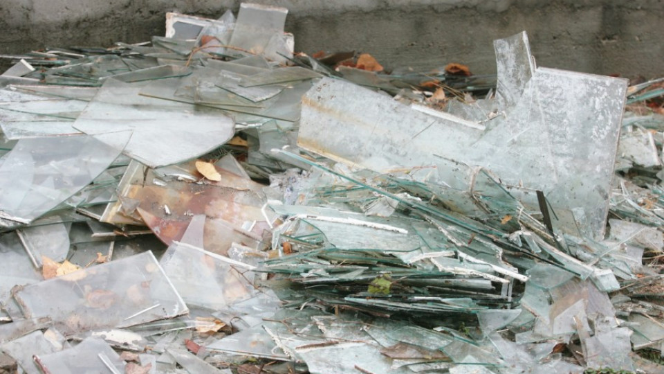 Потрошени стъкла и хаос в ботаническата градина в София  | StandartNews.com