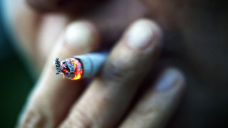 Конфискува над 41 тона контрабанден тютюн в Испания