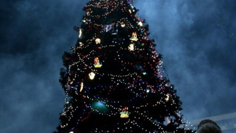 Утре запалват светлините на Коледната елха в София | StandartNews.com