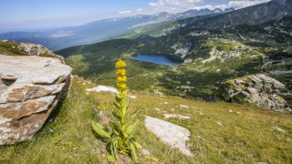 Помагат с GPS приемници на планинските спасители