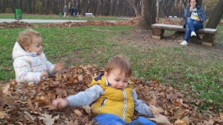 Слънчево в петък