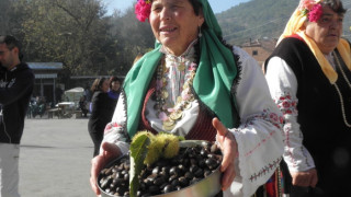 Правят разсадник за кестени в с. Брежани