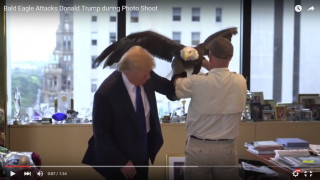 Орел напада Тръмп (ВИДЕО)