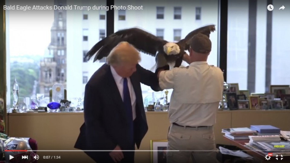 Орел напада Тръмп (ВИДЕО) | StandartNews.com
