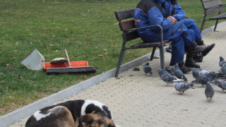 Мразовито съботно утро 