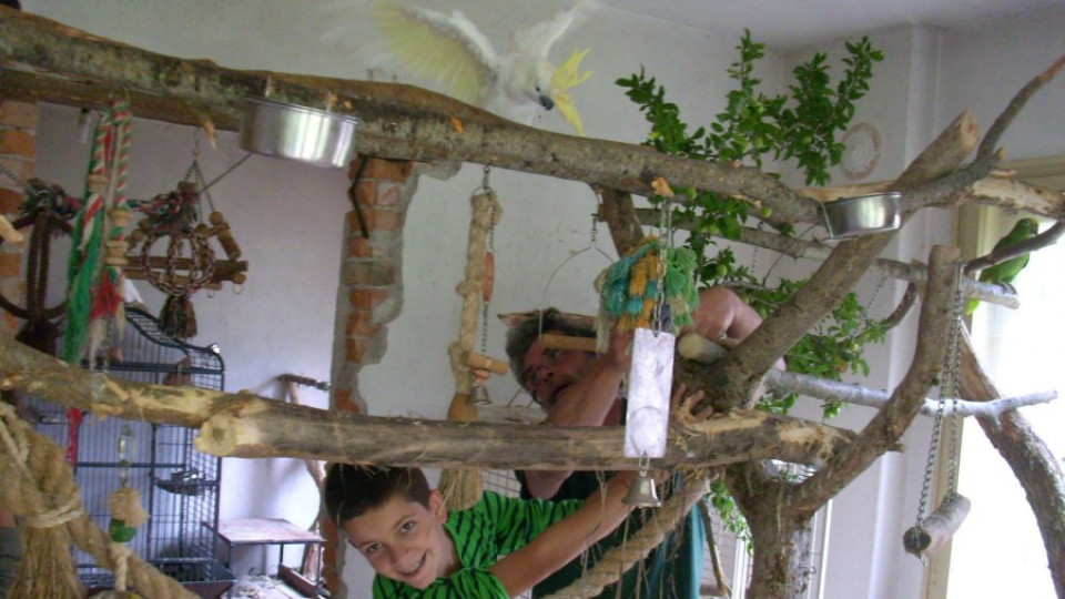 Огнян строи царство на папагалите в Родопите | StandartNews.com
