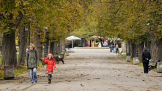 Предимно слънчево в първия работен ден