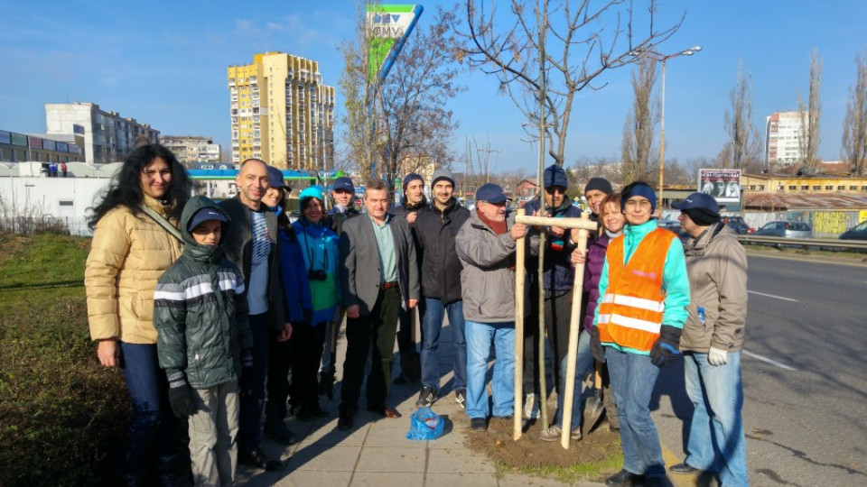 125 дървета посадиха служители на "Алианц" | StandartNews.com