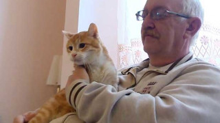 Котка на 23 г. живее в Белград