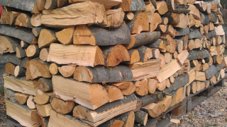 Криза за дърва и въглища в Пиринско
