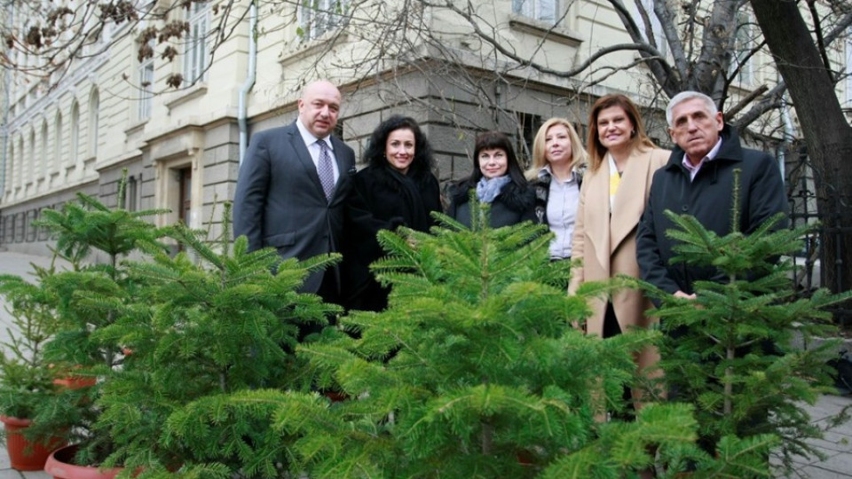 Кралев подкрепи инициативата „Купи жива елхичка, помогни на дете"  | StandartNews.com