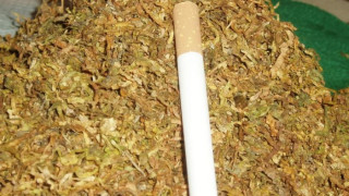 Спипаха нарязан тютюн в дома на старец