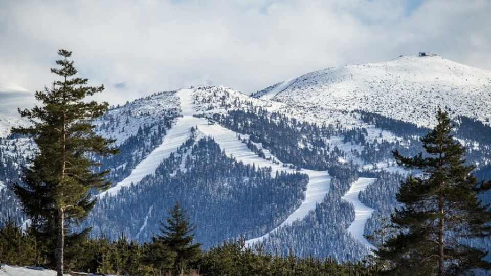 Боровец открива ски зоната с безплатно каране на 19 декември | StandartNews.com