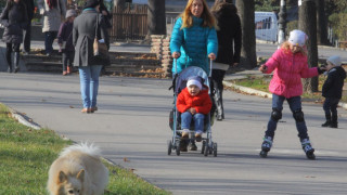 Слънчева неделя 