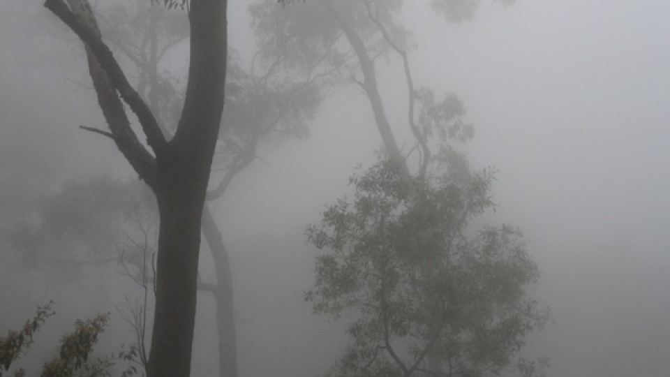 Жълт код в 11 области заради мъглата | StandartNews.com
