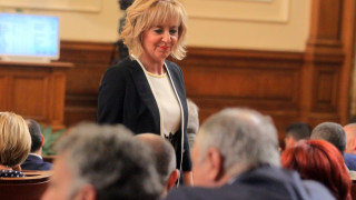 Манолова с жалба до КС за казаните за ракия