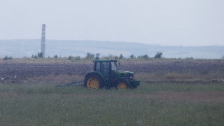 Зърното поевтиня преди празниците