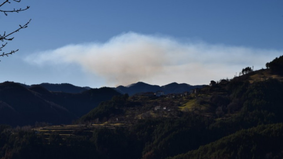 Военни се включиха в потушаването на пожара в Родопите | StandartNews.com