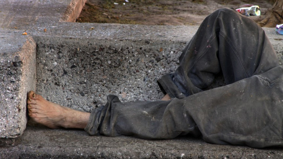 Велислава се бори за бездомници и сираци | StandartNews.com