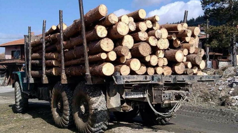 Започна внедряването на електронния превозен билет за дървесина | StandartNews.com