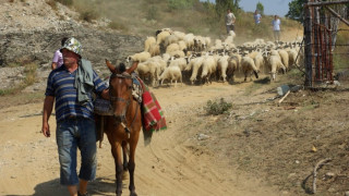Гръцките фермери готвят нови блокади