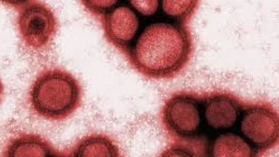 Стартира четвъртото изследване срещу бруцелоза в град Рила и района | StandartNews.com