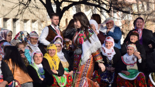 Брезница разпъната между тютюна и гурбета