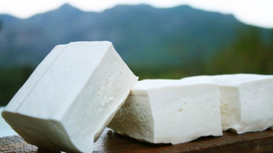 Изнасяме мляко и сирене за Китай | StandartNews.com