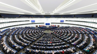 Кючюк показа на търновци Европарламента