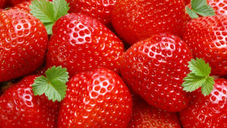 Испания търси берачки на ягоди у нас