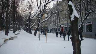 Паднали дървета и клони в Шумен, сигналите не спират да валят