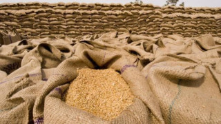 Пазарът на жито в застой
