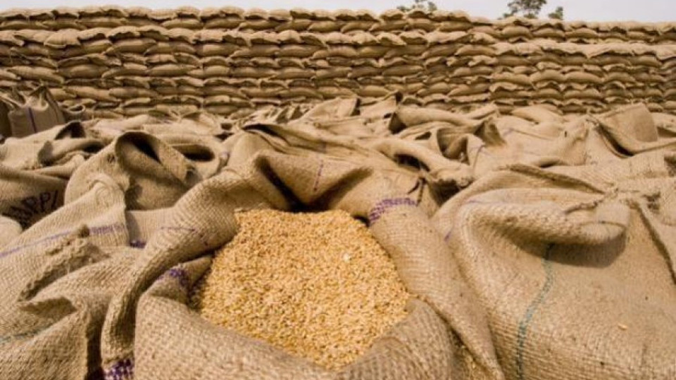 Пазарът на жито в застой | StandartNews.com