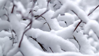 Кметът на Стралджа спонсорира чистенето на снега от джоба си