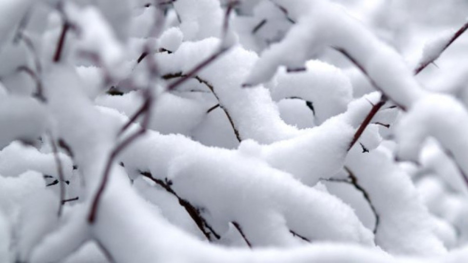 Кметът на Стралджа спонсорира чистенето на снега от джоба си | StandartNews.com