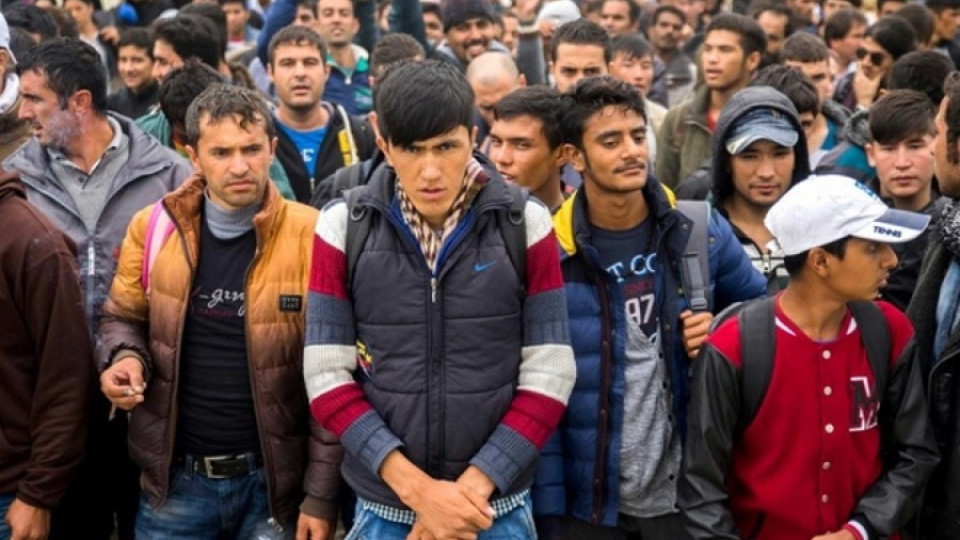 Холандец: Затворете мъжете бежанци! | StandartNews.com