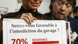 Памела Андерсън спретна бой във френския парламент