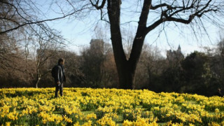 Синоптик: Предстои ни февруарска пролет