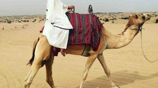 Алесандра Амброзио язди камила в Дубай