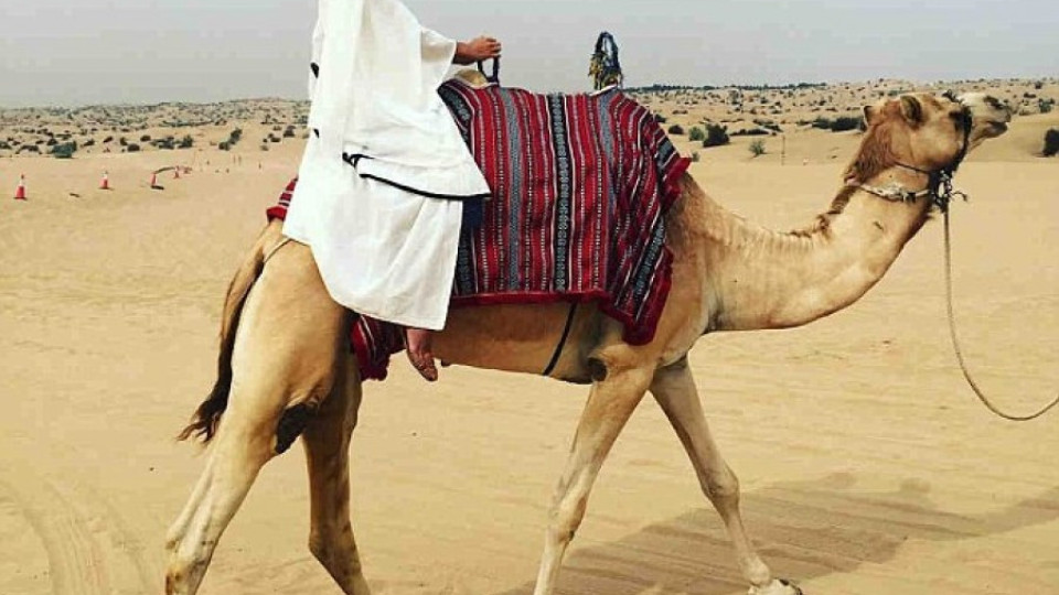 Алесандра Амброзио язди камила в Дубай | StandartNews.com