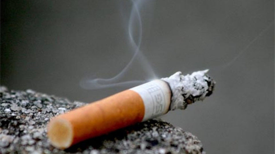 Искат червена точка за филмите с цигари | StandartNews.com