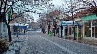 4 в болница след като Ауди се натресе в кон